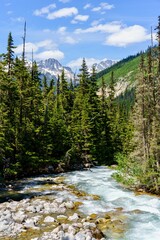 Illecillewaet River runs through in Glacier National Park in British Columbia, Canada