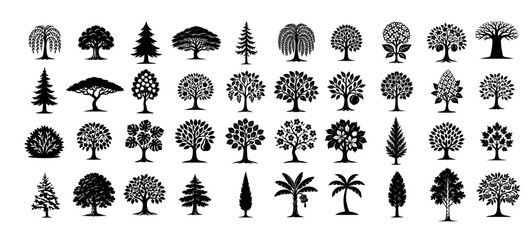 Obraz premium A set of different trees. Hand drawn. Not AI, vector illustration.