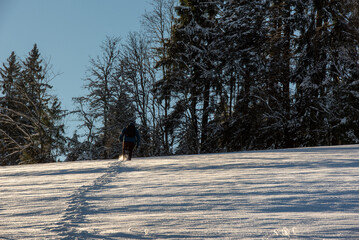 Man climbing snow covered mountain at sunrise in the Black Forest, Germany
