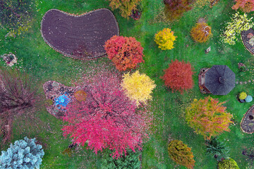 drone photo of my backyard in blazing fall colors with gold, yellow, red, orange, purple, blue against a rich green grass background with elm, oak, spruce, maple, red bud, tamarack, smoke bush and mor