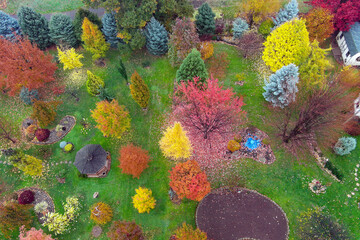 drone photo of my backyard in blazing fall colors with gold, yellow, red, orange, purple, blue against a rich green grass background with elm, oak, spruce, maple, red bud, tamarack, smoke bush and mor