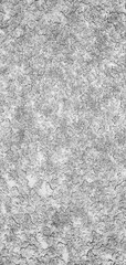 High-detail, vertical abstract texture of ice on glass, creating a unique monochrome pattern ideal for backgrounds, overlays, or digital art projects