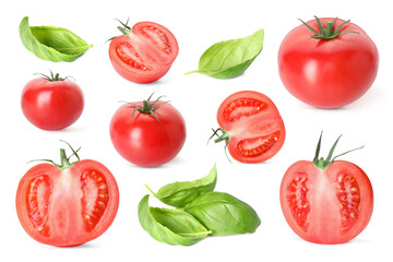 Fresh tomatoes and green basil leaves isolated on white, set
