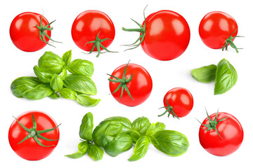Fresh tomatoes and green basil leaves isolated on white, set