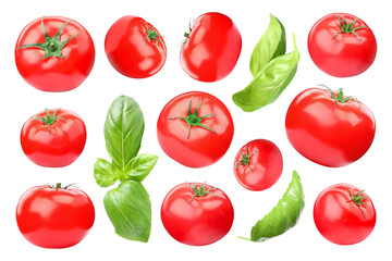 Fresh tomatoes and green basil leaves isolated on white, set