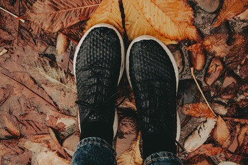 Autumnal walk through fallen leaves. A person's feet in black sneakers are seen walking on a bed of...