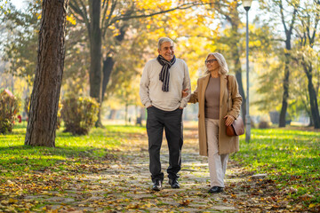 Fototapeta premium Happy senior couple enjoying a walk in the park on a beautiful autumn day