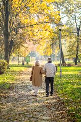 Fototapeta premium Elderly couple walking in autumn park, enjoying a sunny fall day together
