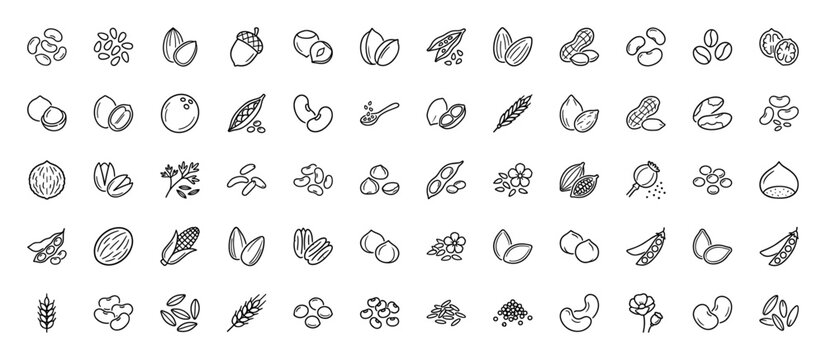 Nuts, seeds and legumes line icon set. Vector pictograms of almond, peanut, walnut, hazelnut, pistachio, bean, corn, wheat, coconut and coffee, thin linear illustration.