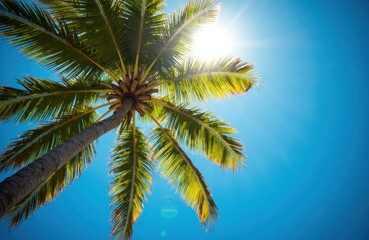 Fototapeta premium Palm tree against clear blue sky with bright sun and tropical summer vibes