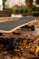 skateboarding in the street on an autumn day