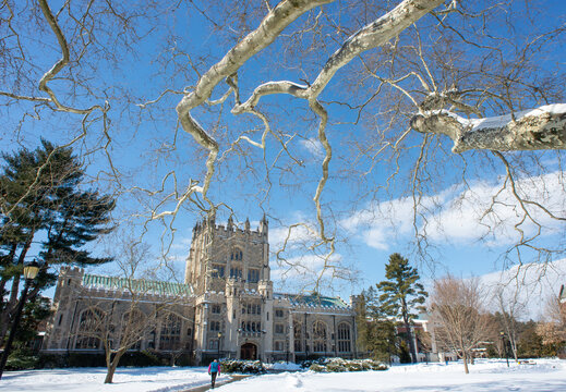 View of gothic architecture with intricate details stands majestically against a blue sky framed by snow-dusted tree branches, Vassar College, Poughkeepsie, New York, United States.