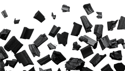 Black, charred wood pieces in various sizes are scattered against a pure black background, creating an image of abstract floating forms