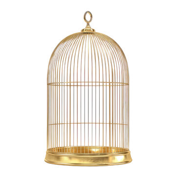 A golden, ornate birdcage isolated against a stark black background. It is highly detailed, with vertical bars and a domed top