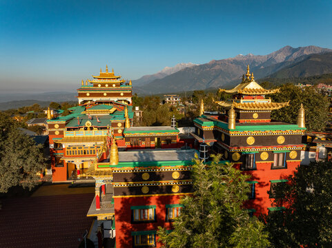 Aerial view of the golden and vibrant Sherabling Monastery complex stands out against a backdrop of green trees and majestic mountains, Bir, Himachal Pradesh, India.