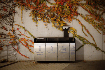 A modern recycling station with separate bins for general waste, plastic, paper, dog waste stands against a concrete wall covered with colorful autumn ivy. Metallic bins. Urban Recycling Point in fall