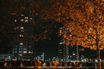 Golden brown autumn leaves at night with city lights in soft bokeh. Warm fall tones, urban...