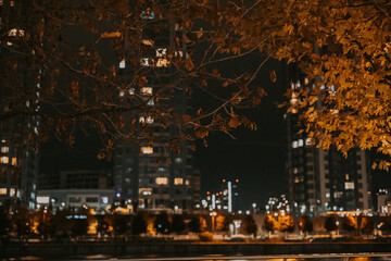 Golden brown autumn leaves at night with city lights in soft bokeh. Warm fall tones, urban atmosphere, cozy mood, seasonal transition, nature meets city, modern lifestyle, cinematic fall aesthetic.