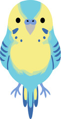 Obraz premium Cute blue and yellow budgerigar cartoon vector illustration.