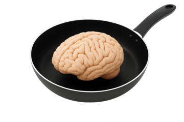 Brain on the Frying Pan: The human brain rests inside a sleek black frying pan, symbolizing the concept of culinary, mental processing and the cooking process.
