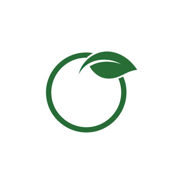 Green circle with a single leaf logo for ecology and nature.