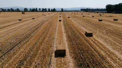 Wide aerial shot of a large, harvested grain field with straw bales and linear patterns, leading...