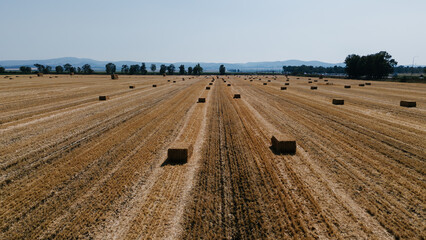 Fototapeta premium Wide aerial shot of a large, harvested grain field with straw bales and linear patterns, leading towards a distant town and mountains under a clear sky
