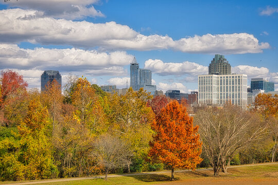 A cityscape of Raleigh, North Carolina in pretty Autumn colors of the capital city with long puffy clouds in a nic  blue sky