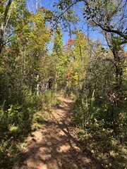 Red dirt path in autumn woods - Chemin en terre rouge dans un sous bois en automne