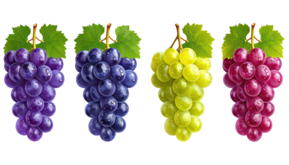 Four bunches of fresh, ripe grapes on a black background, showcasing various colors purple, dark blue, green, and red-purple
