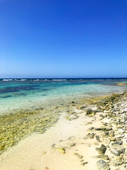 tropical beach caribe