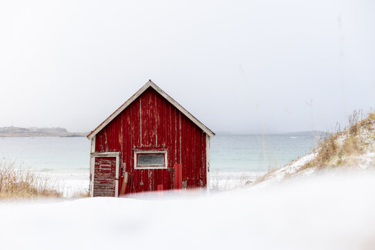 View of a rustic red cabin dusted with snow stands in stark contrast against the pale winter sky and sea, a serene escape, Reine, Nordland, Norway.