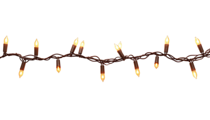 A strand of illuminated lights with amber-colored bulbs, connected by a dark brown wire, against a black background