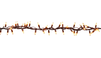 A strand of illuminated tiny incandescent bulbs, strung on a dark wire, glows against a pure black background. Festive holiday decor