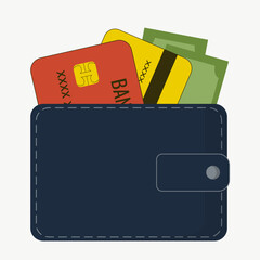 Leather wallet, wallet with green banknotes, money, credit cards, Bank cards