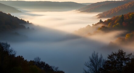 Misty Valley at Sunrise with Autumn Forests and Golden Light