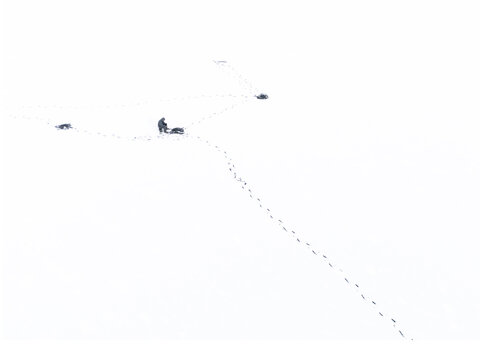 Aerial view of a person with sledges on a snow-covered landscape near Didziulis lake, footprints trailing behind, a stark contrast against the white expanse, Moluvenai, Trakai district, Lithuania.