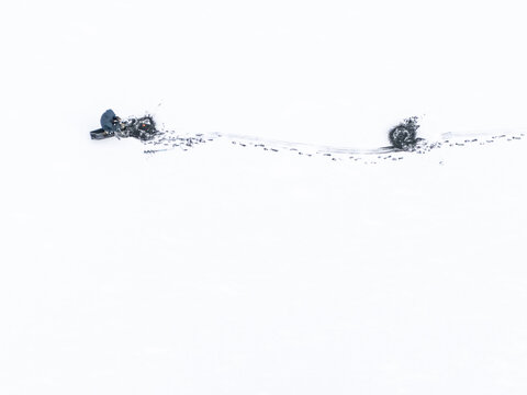 Aerial view of two dark objects resting on a vast expanse of pure white snow, Moluvenai, Trakai district, Lithuania.