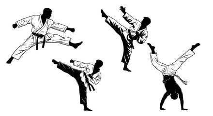 Dynamic martial arts moves showcase powerful stances and agility skills in action art