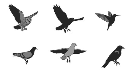 Obraz premium Diverse bird species collection, graceful flight and perched poses, nature and wildlife icon set