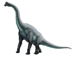 This detailed illustration showcases the majestic Brachiosaurus, a giant herbivore from the Jurassic period © Abel