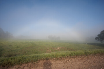 A foggy field with a rainbow in the sky