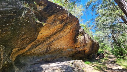 Birdwood Gully in Springwood, New South Wales Australia