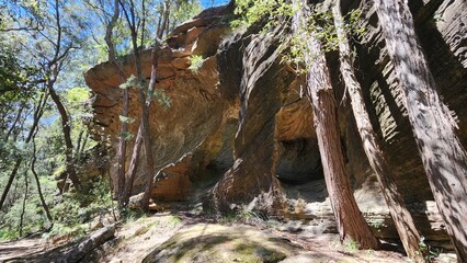 Birdwood Gully in Springwood, New South Wales Australia