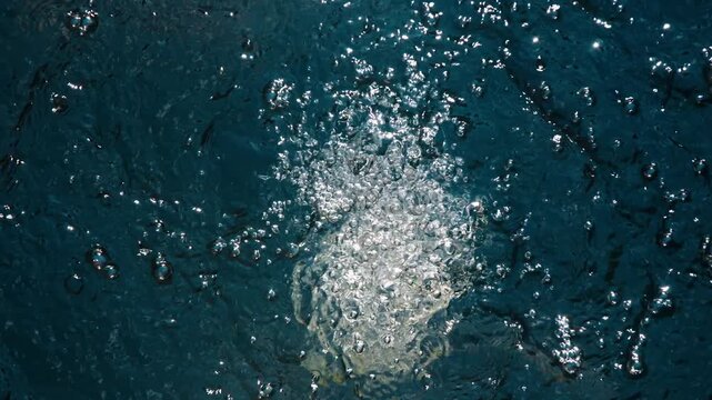Water surface bubbles create mesmerizing patterns as the camera smoothly zooms in, revealing the shimmering reflections and dynamic movement of the aquatic scene