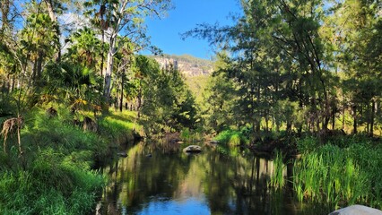 Carnarvon Gorge in Queensland Australia