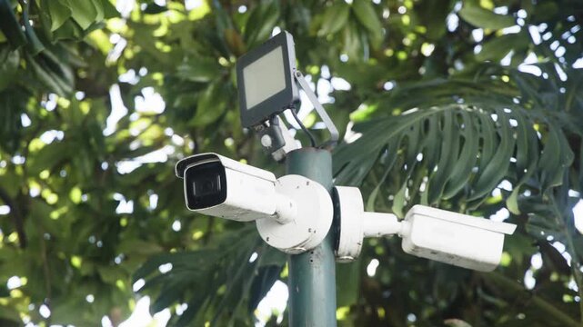 Security camera system with multiple lenses and monitor, showcasing detailed surveillance technology, camera pans and zooms in on equipment amidst lush greenery