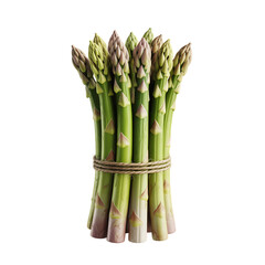 Bundle of Fresh Asparagus Tied with Twine green vegetables isolated on a transparent background