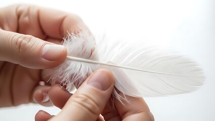 Close-up of hands holding a delicate white feather against a bright background.
