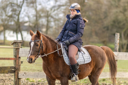 Woman riding a dark chestnut Arab–Lewitzer mix horse during winter training on an outdoor arena
